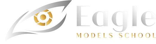 logo webcam Eagle